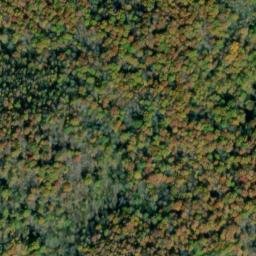 Satellite imagery of Timber Ridge, US