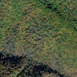 Satellite imagery of Piney Ridge, US