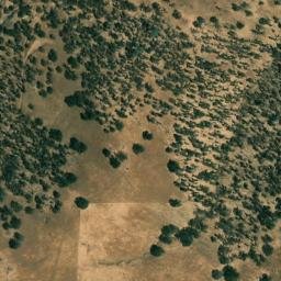 Satellite imagery of Orange Blossom Mine, US