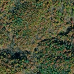 Satellite imagery of Timber Ridge, US