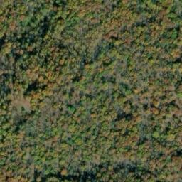 Satellite imagery of Timber Ridge, US