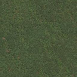 Satellite imagery of River Ridge, US