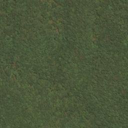 Satellite imagery of River Ridge, US