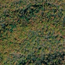 Satellite imagery of Timber Ridge, US