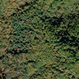 Satellite imagery of Drummond Hill, US