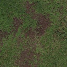 Satellite imagery of Green Spur, US