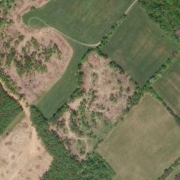 Satellite imagery of Cedar Ridge, US