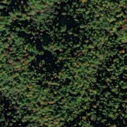 Satellite imagery of Buffalo Spur, US