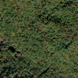 Satellite imagery of Guyan Ridge, US