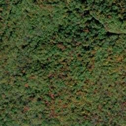 Satellite imagery of Guyan Ridge, US