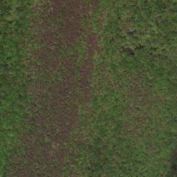 Satellite imagery of Green Spur, US
