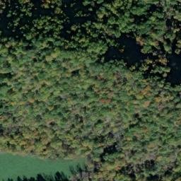 Satellite imagery of Buffalo Spur, US