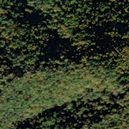 Satellite imagery of Buffalo Spur, US