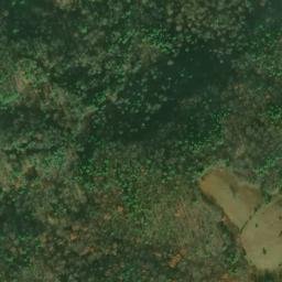 Satellite imagery of Bearwallow Ridge, US
