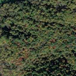 Satellite imagery of Buffalo Spur, US