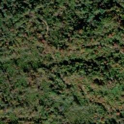 Satellite imagery of Guyan Ridge, US