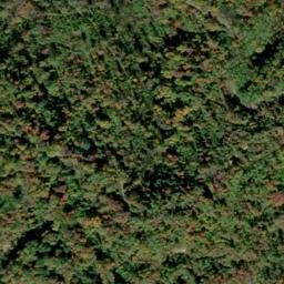 Satellite imagery of Guyan Ridge, US