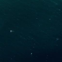 Satellite imagery of Punta Negra, ES