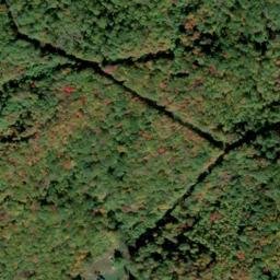 Satellite imagery of Barkers Ridge, US