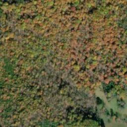 Satellite imagery of Little Timber Ridge, US
