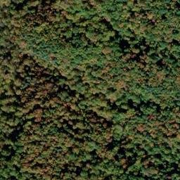 Satellite imagery of Bryant Ridge, US