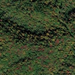 Satellite imagery of Green Ridge, US