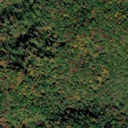 Satellite imagery of Green Ridge, US