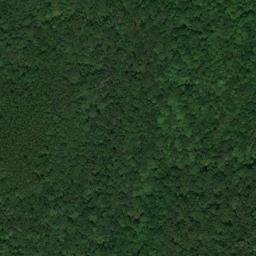 Satellite imagery of Douglas Mine, US
