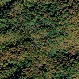 Satellite imagery of Backbone Ridge, US