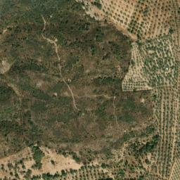 Satellite imagery of survey_point, PT