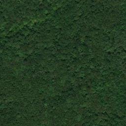Satellite imagery of Douglas Mine, US