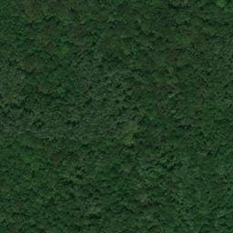 Satellite imagery of Douglas Mine, US