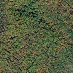 Satellite imagery of Little Cove Mountain, US