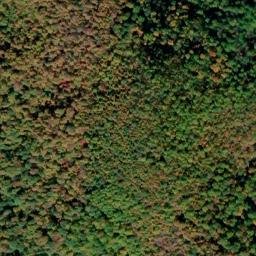 Satellite imagery of Backbone Ridge, US