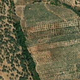 Satellite imagery of survey_point, PT