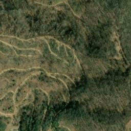 Satellite imagery of Milam Ridge, US