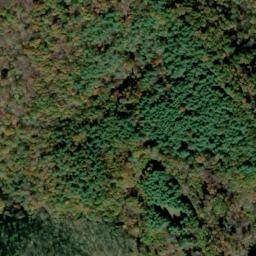 Satellite imagery of Pigshin Ridge, US