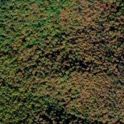 Satellite imagery of Backbone Ridge, US