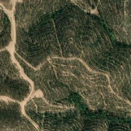 Satellite imagery of survey_point, PT