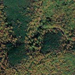 Satellite imagery of Little Cove Mountain, US