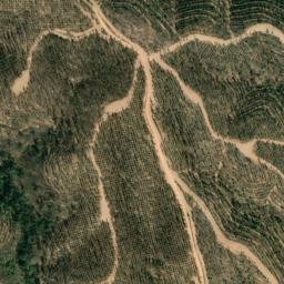 Satellite imagery of survey_point, PT