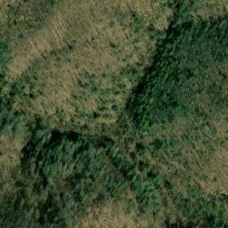 Satellite imagery of Fork Ridge, US