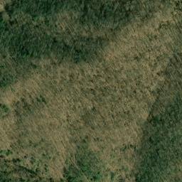 Satellite imagery of Fork Ridge, US