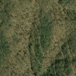 Satellite imagery of Fork Ridge, US