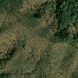 Satellite imagery of Fork Ridge, US