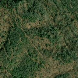 Satellite imagery of Fork Ridge, US
