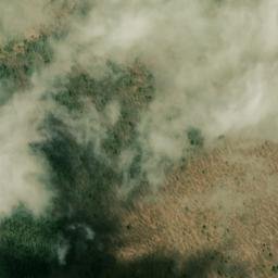 Satellite imagery of Piney Ridge, US