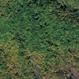 Satellite imagery of McFalls Ridge, US