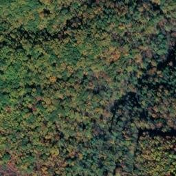 Satellite imagery of McFalls Ridge, US