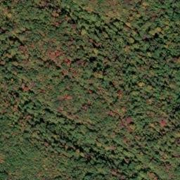 Satellite imagery of Beartown Ridge, US